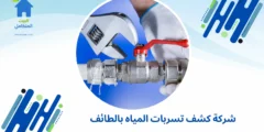 شركة كشف تسربات المياه بالطائف